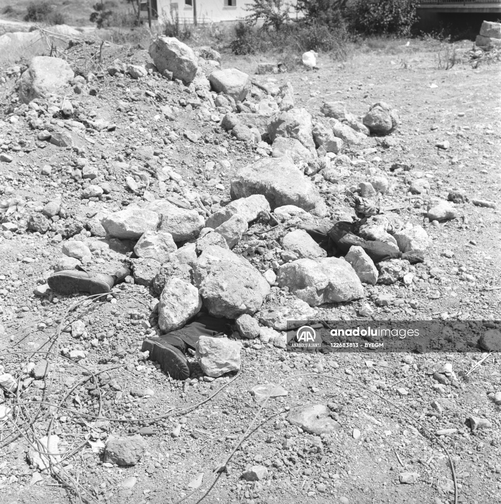 RUM HAREKETLERI VE KATLIAMI