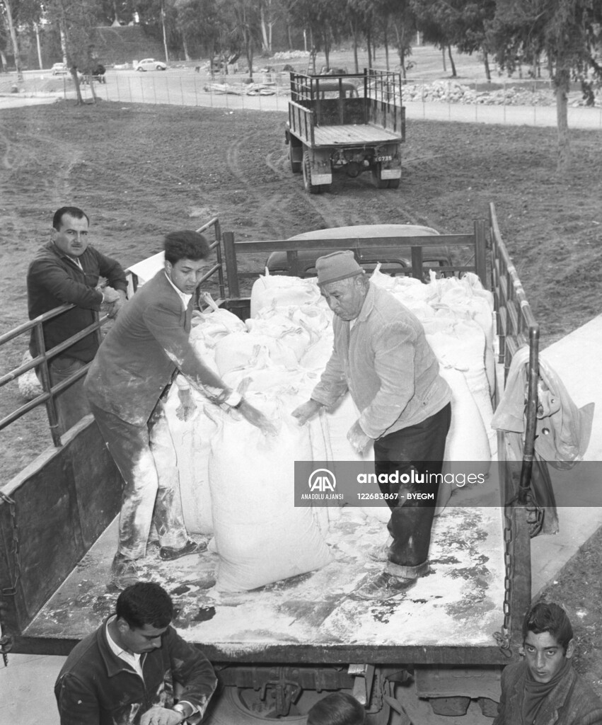 RUM HAREKETLERI VE KATLIAMI