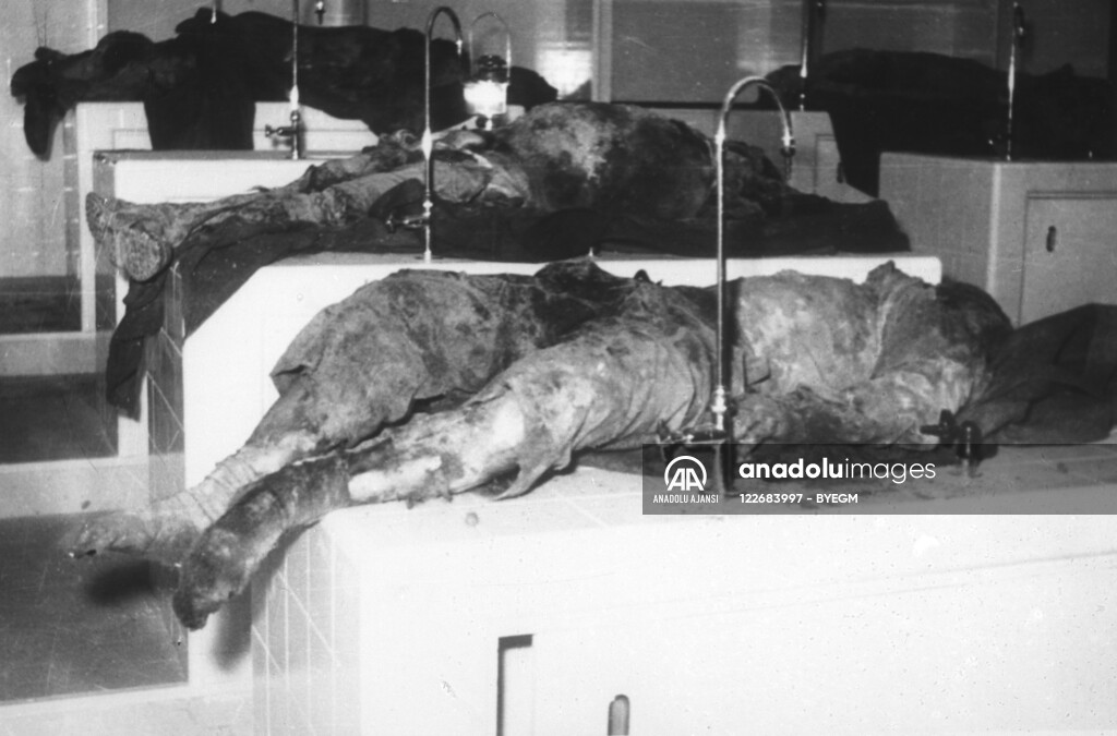 RUM HAREKETLERI VE KATLIAMI