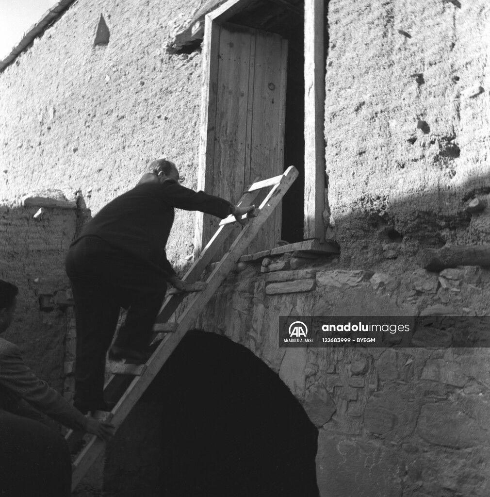 RUM HAREKETLERI VE KATLIAMI