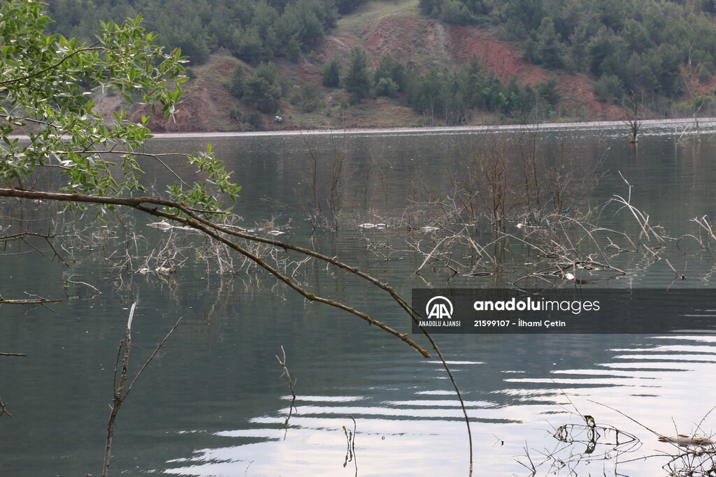 Göynük'te baraj gölündeki toplu balık ölümlerine ilişkin inceleme
