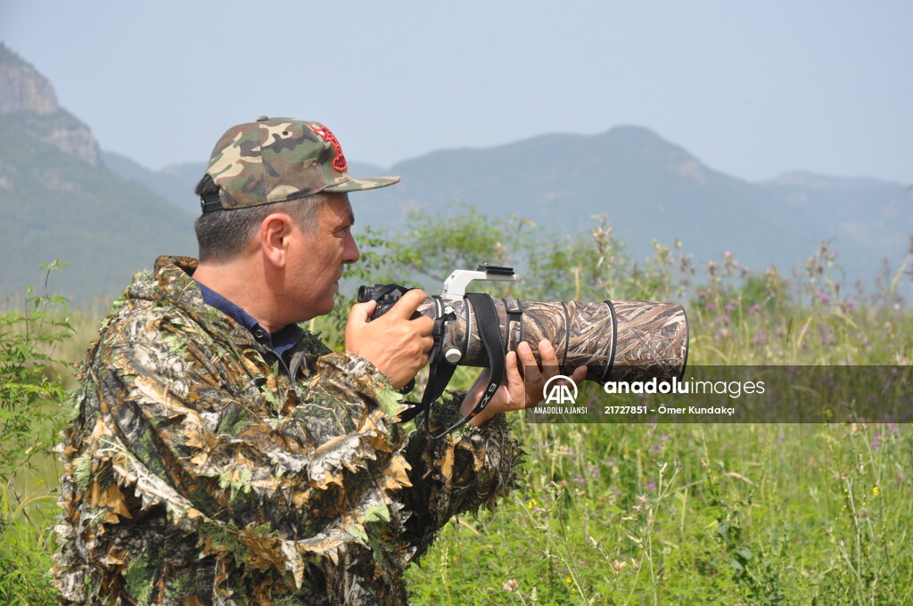 Kuş gözlemcilerinin uğrak yeri: Dalyan Kanalı ve Köyceğiz Gölü