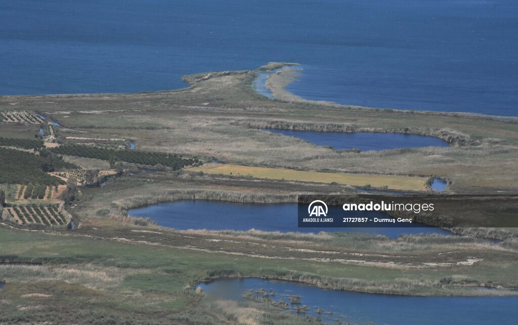 Kuş gözlemcilerinin uğrak yeri: Dalyan Kanalı ve Köyceğiz Gölü