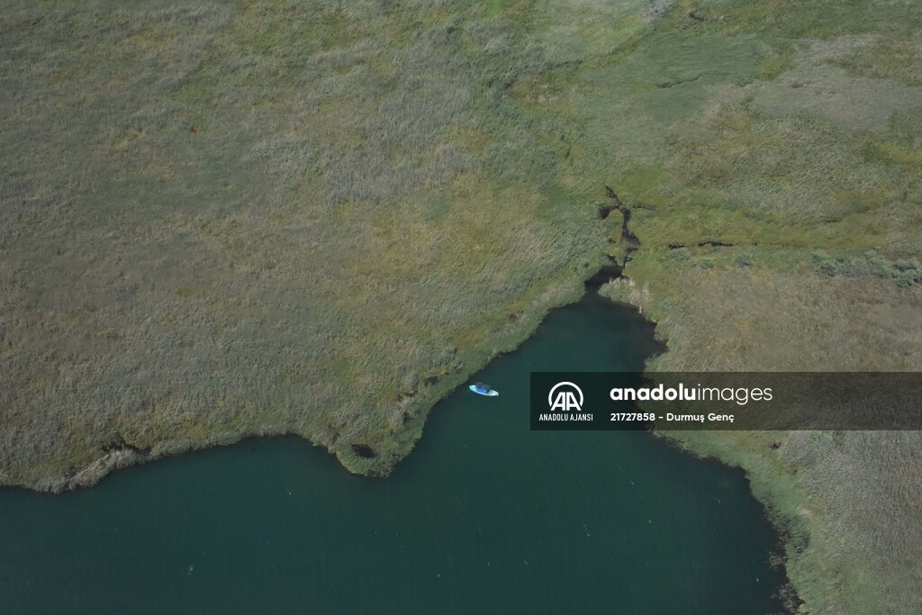 Kuş gözlemcilerinin uğrak yeri: Dalyan Kanalı ve Köyceğiz Gölü