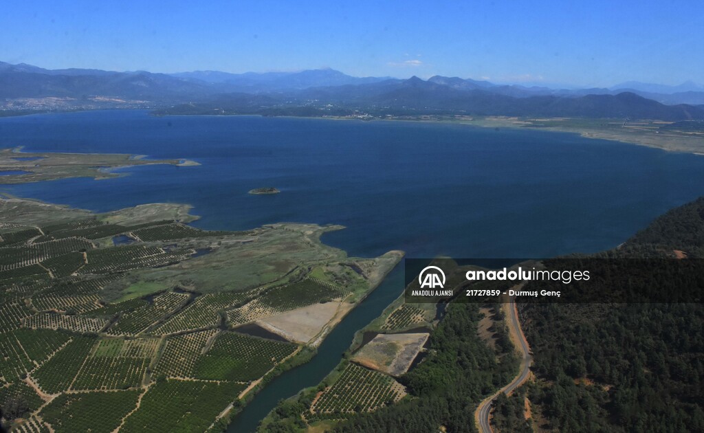 Kuş gözlemcilerinin uğrak yeri: Dalyan Kanalı ve Köyceğiz Gölü