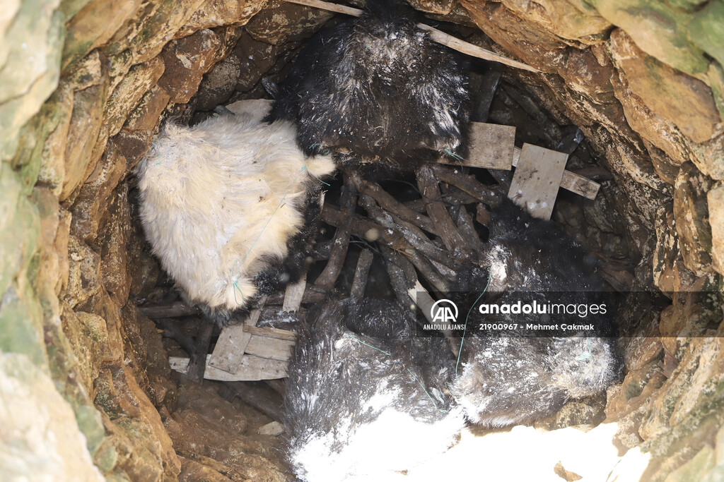 "Söğle peyniri" kuyularda lezzetleniyor