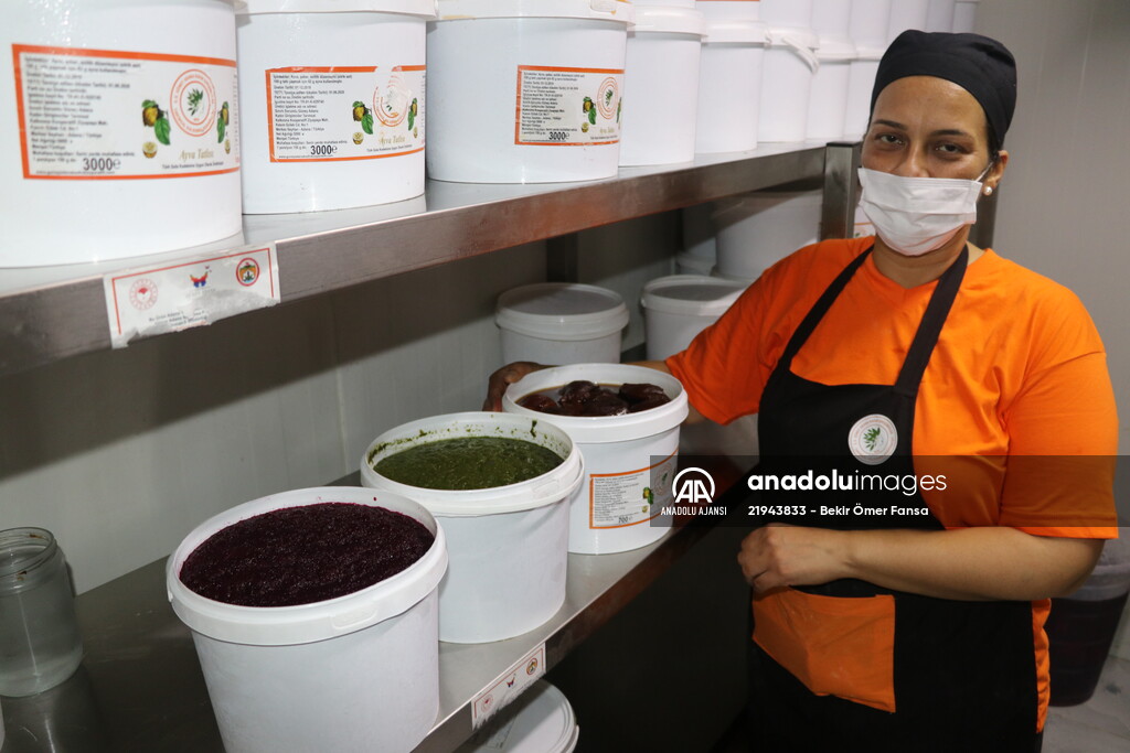 Girişimci kadınlar kalkınma kooperatifi ile ayakta duruyorlar