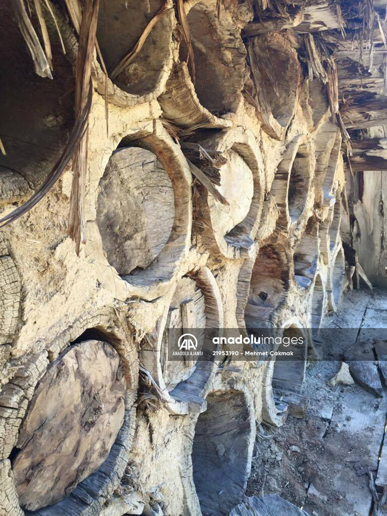 Antalya'daki tarihi Likya tipi arı serenleri yaşatılmaya çalışılıyor