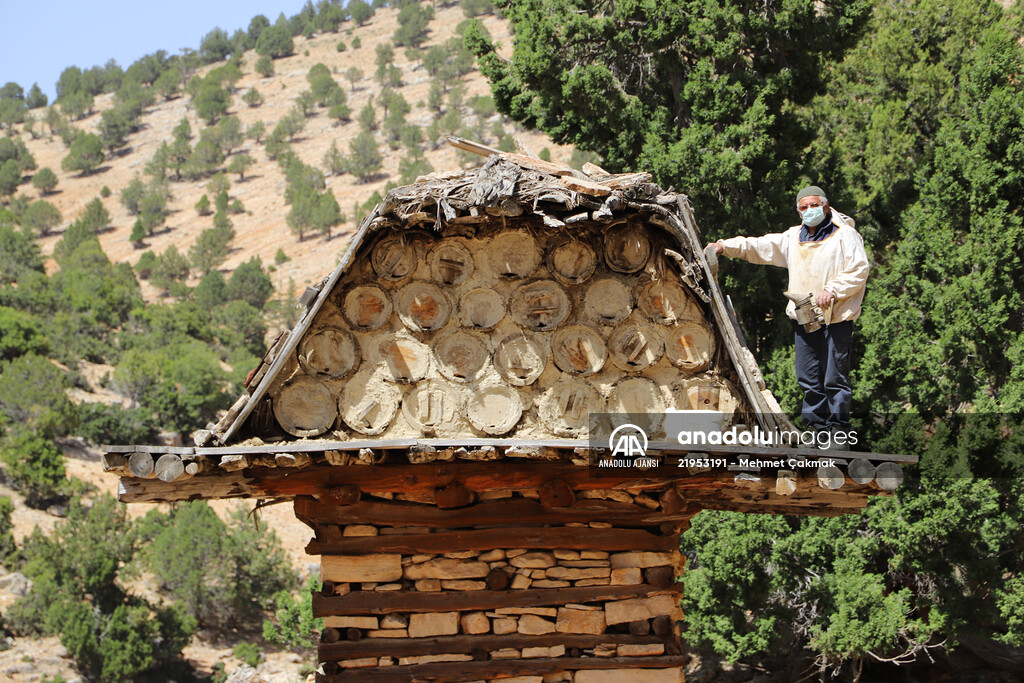 Antalya'daki tarihi Likya tipi arı serenleri yaşatılmaya çalışılıyor