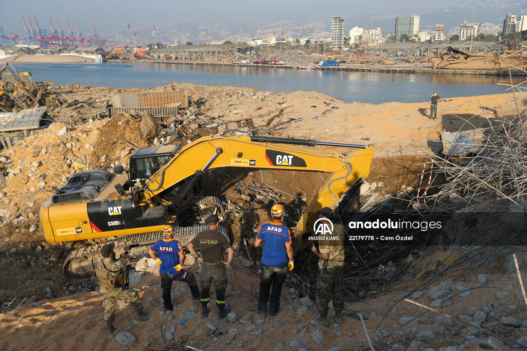 Beyrut Limanı'ndaki patlama