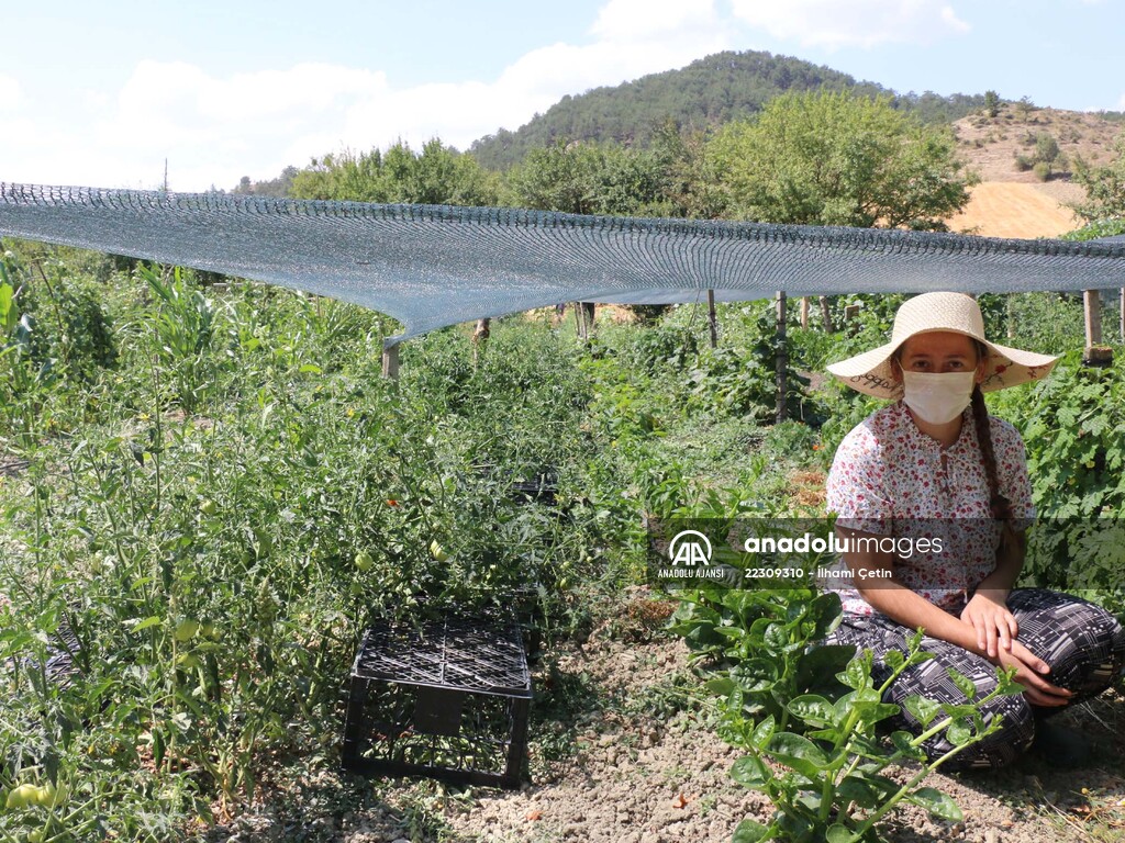 Köyünde "ata tohumları"ndan ürün yetiştiren genç ziraat mühendisi hayalini gerçekleştirdi
