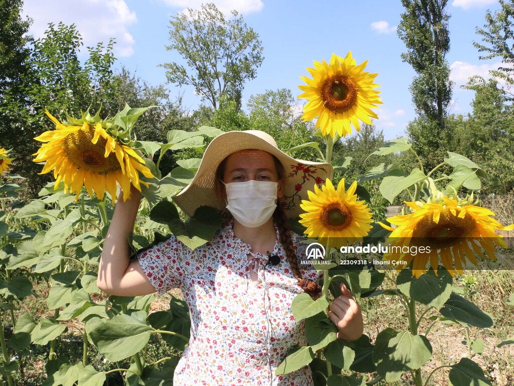 Köyünde "ata tohumları"ndan ürün yetiştiren genç ziraat mühendisi hayalini gerçekleştirdi