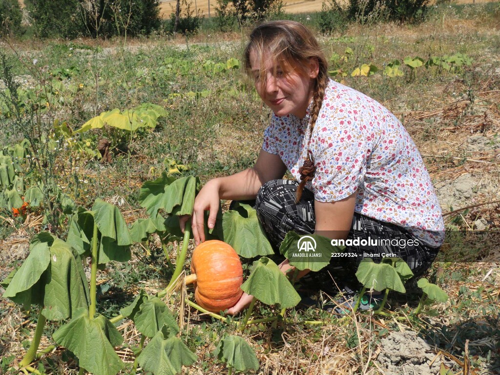Köyünde "ata tohumları"ndan ürün yetiştiren genç ziraat mühendisi hayalini gerçekleştirdi
