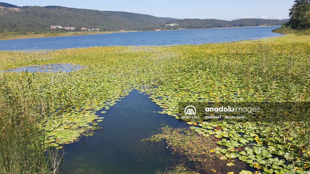 Abant, Gölcük ve Yedigöller'e 8 ayda 776 bin ziyaretçi