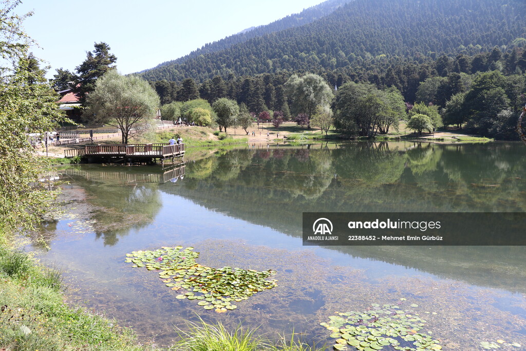 Abant, Gölcük ve Yedigöller'e 8 ayda 776 bin ziyaretçi