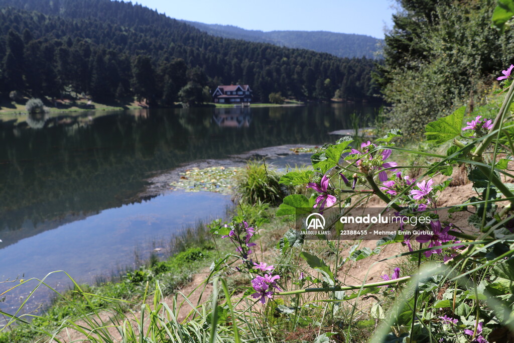 Abant, Gölcük ve Yedigöller'e 8 ayda 776 bin ziyaretçi