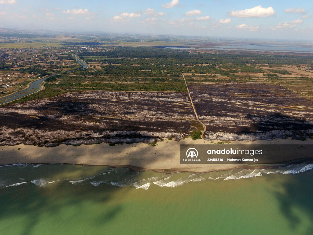 Kızılırmak Deltası Kuş Cenneti'ndeki yangın