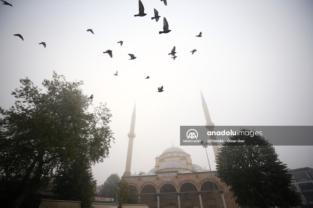 Foggy day in Turkey's Duzce