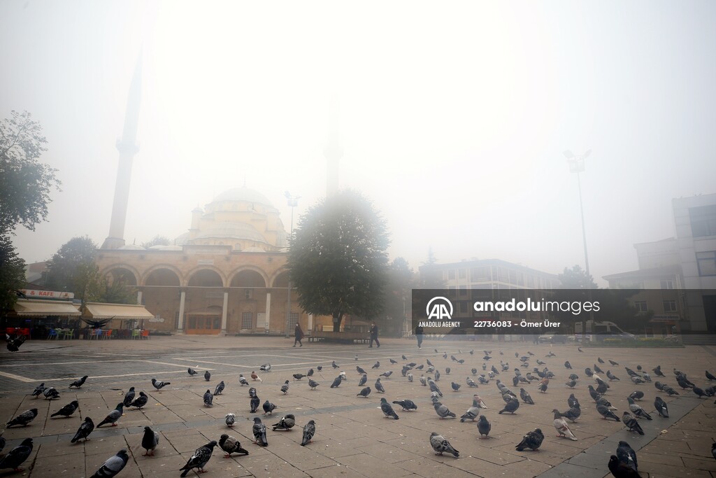 Foggy day in Turkey's Duzce