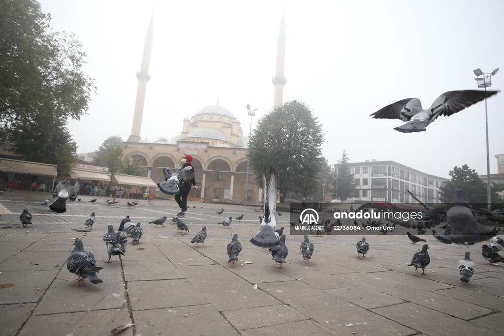 Foggy day in Turkey's Duzce