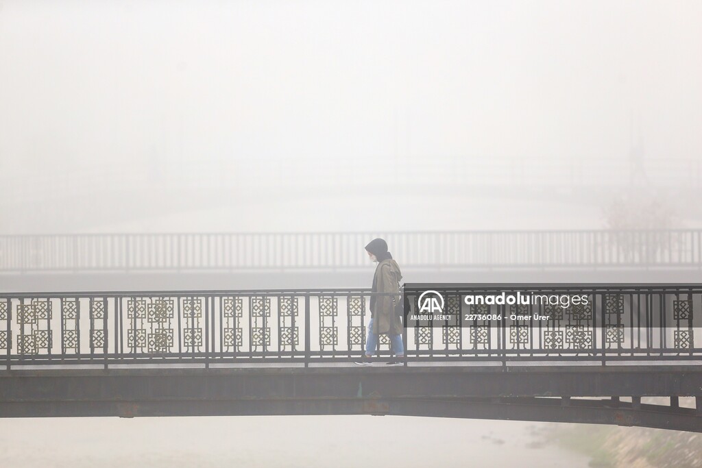 Foggy day in Turkey's Duzce