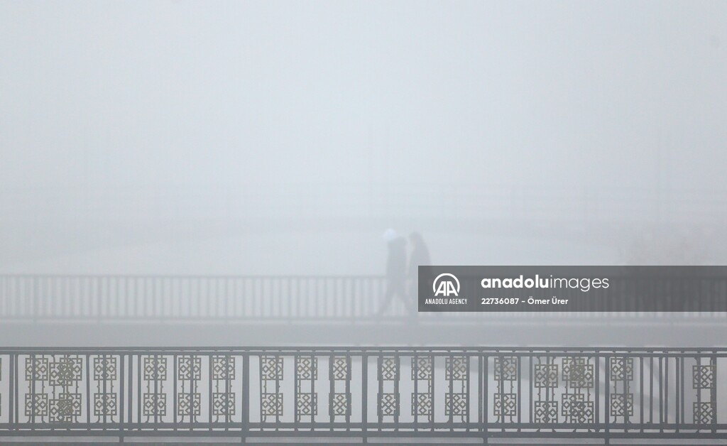 Foggy day in Turkey's Duzce
