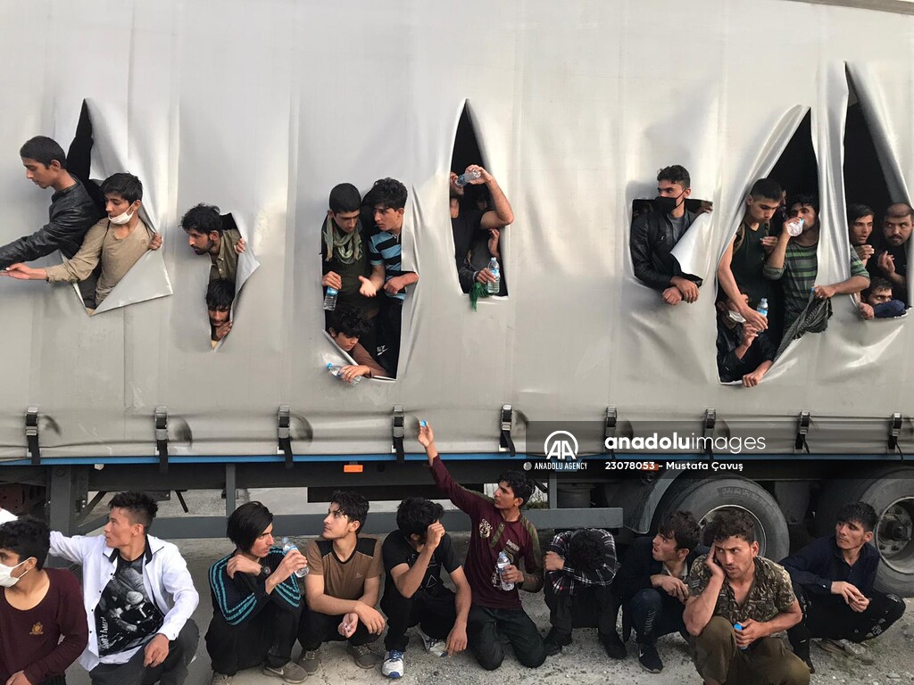 Journey to hope in the truck trailer