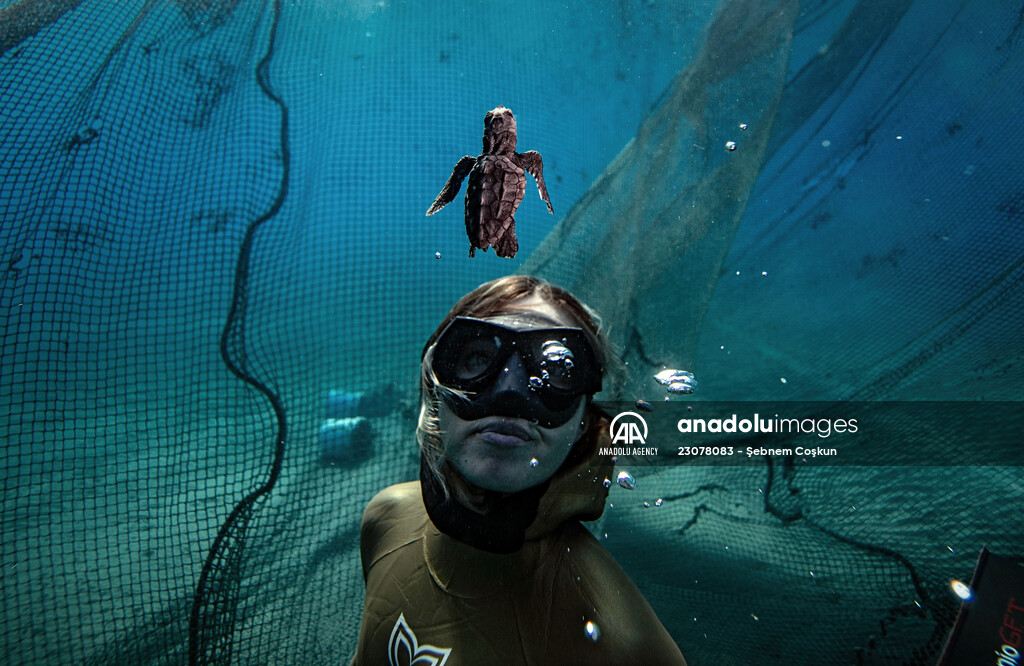 Şahika Ercümen with baby Caretta caretta