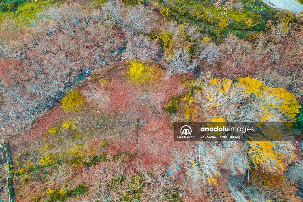 Colors of Mount Amanos in Turkey