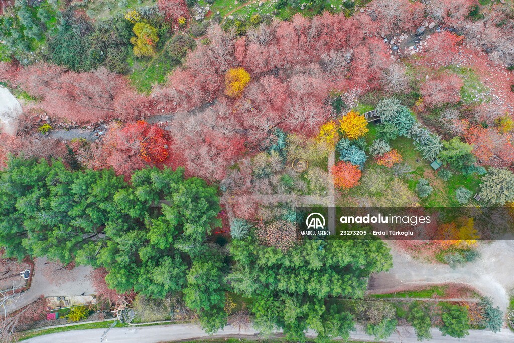 Colors of Mount Amanos in Turkey