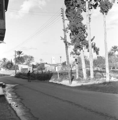 RUM HAREKETLERI VE KATLIAMI