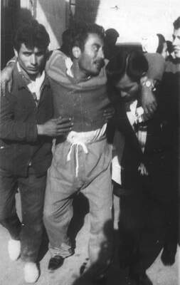 RUM HAREKETLERI VE KATLIAMI