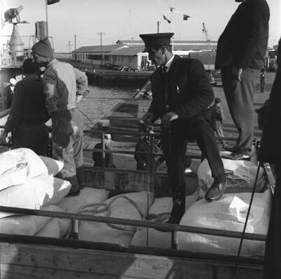 RUM HAREKETLERI VE KATLIAMI