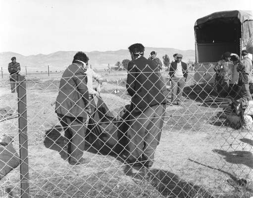 RUM HAREKETLERI VE KATLIAMI