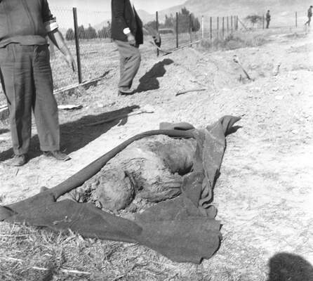 RUM HAREKETLERI VE KATLIAMI