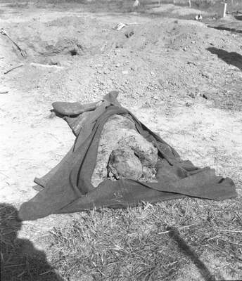 RUM HAREKETLERI VE KATLIAMI