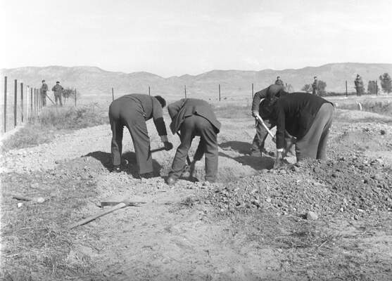 RUM HAREKETLERI VE KATLIAMI