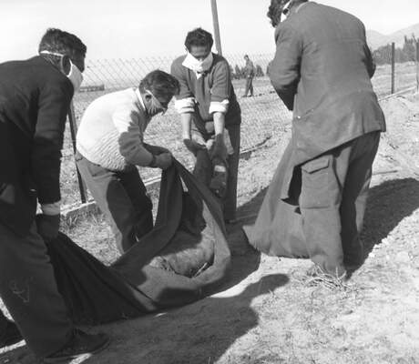 RUM HAREKETLERI VE KATLIAMI