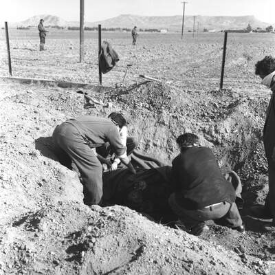 RUM HAREKETLERI VE KATLIAMI