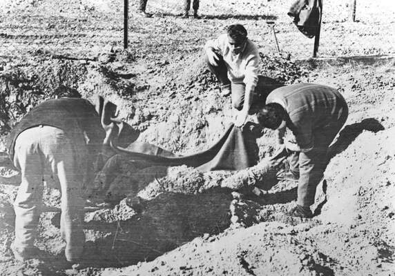 RUM HAREKETLERI VE KATLIAMI