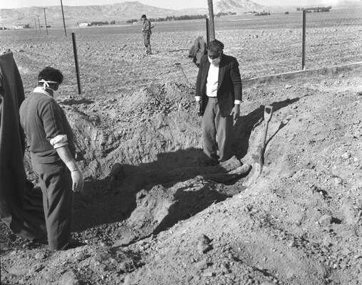 RUM HAREKETLERI VE KATLIAMI