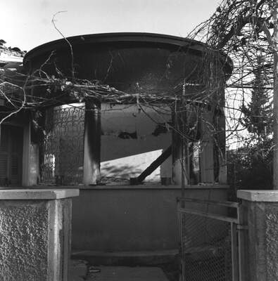 RUM HAREKETLERI VE KATLIAMI