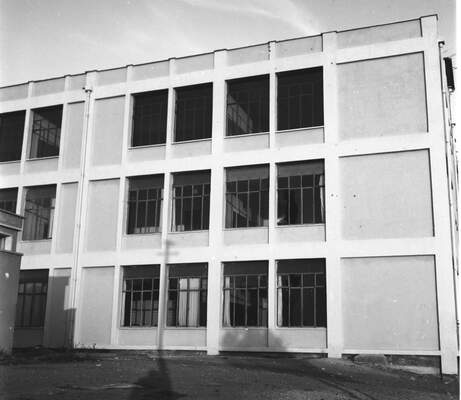 RUM HAREKETLERI VE KATLIAMI