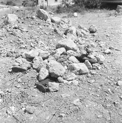 RUM HAREKETLERI VE KATLIAMI