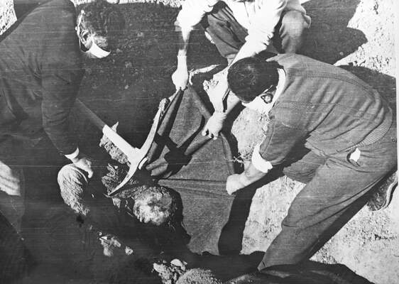 RUM HAREKETLERI VE KATLIAMI