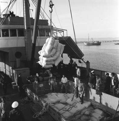 RUM HAREKETLERI VE KATLIAMI