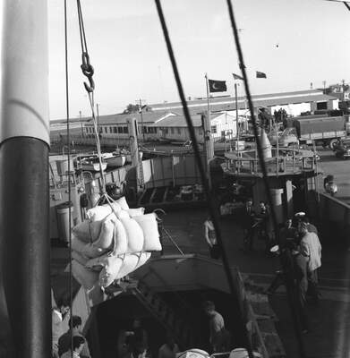 RUM HAREKETLERI VE KATLIAMI