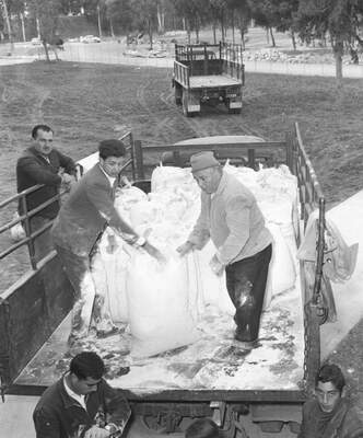 RUM HAREKETLERI VE KATLIAMI