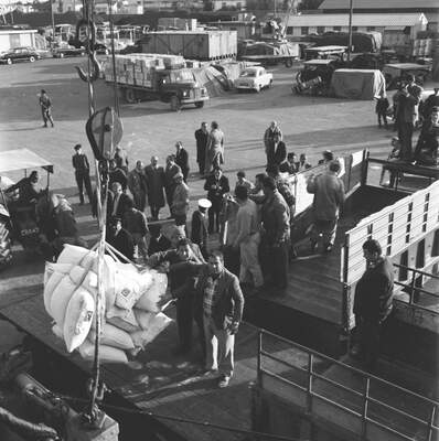 RUM HAREKETLERI VE KATLIAMI