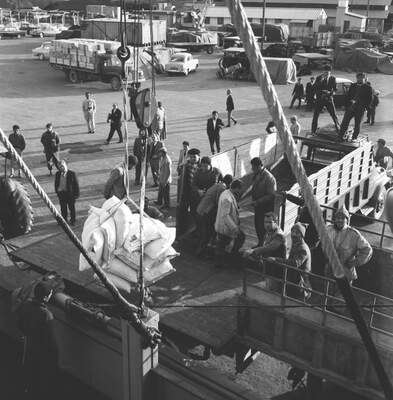 RUM HAREKETLERI VE KATLIAMI